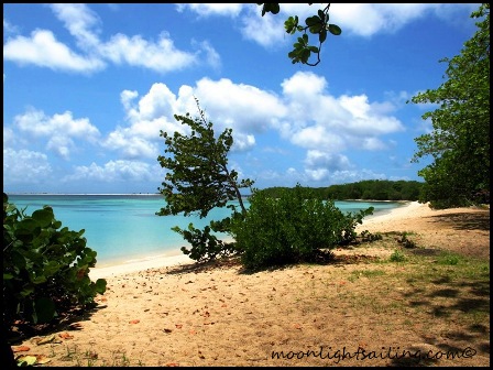 Carriacou Grenadines