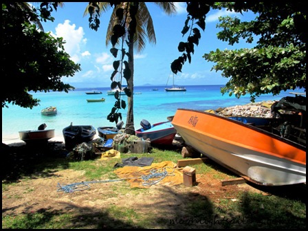 Ile Moustique Grenadines