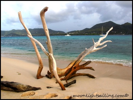 Sandy Island Grenadines