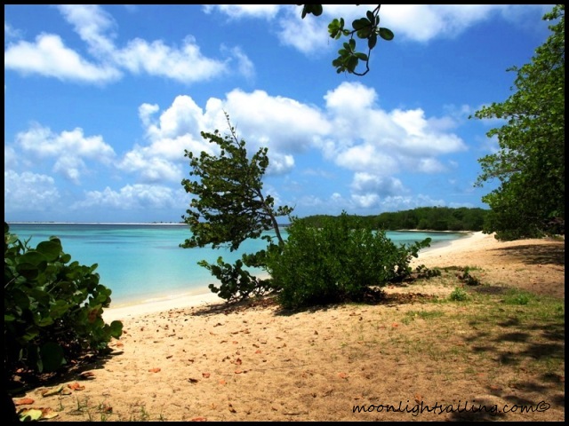Paradise Beach Carriacou