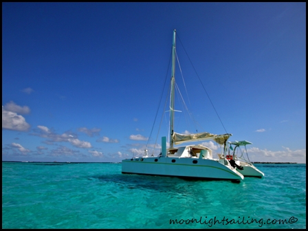 Catamaran Tobago Cays Grenadines