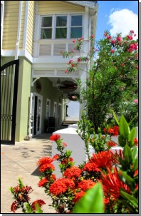 flowers and building in Marigot Bay, Saint Lucia