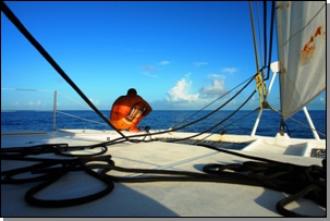 sailing navigation on catamaran Kawai