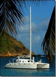catamaran and coco trees in the grenadines
