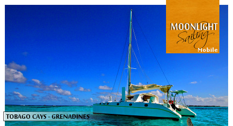 Catamaran de location aux Grenadines